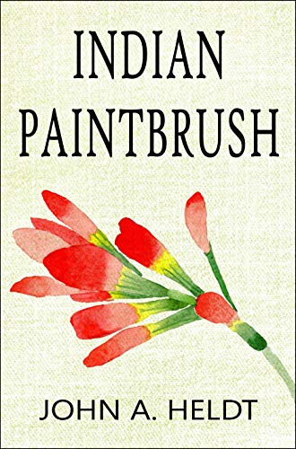 Indian Paintbrush (Carson Chronicles Book 3)