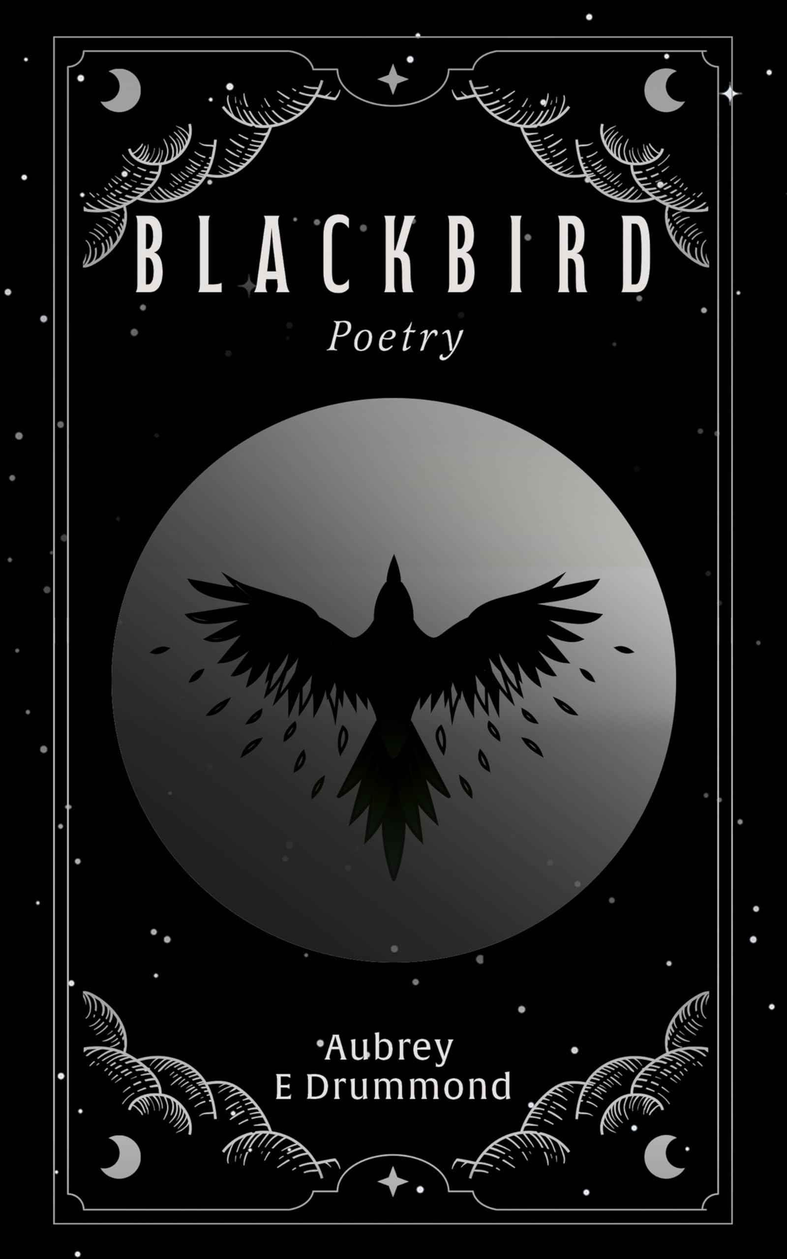 Blackbird: Poetry (Inside The Circle of The Sun…)