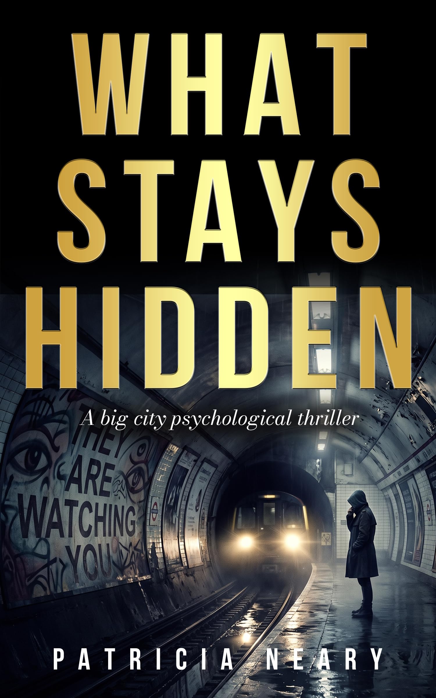 What Stays Hidden (Mara Fenn Investigations Book 1)