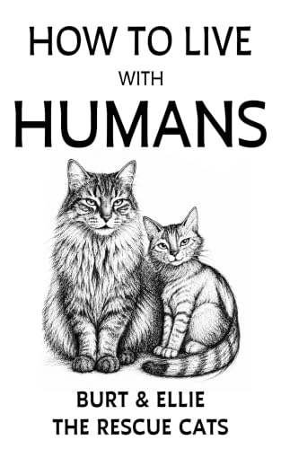 How To Live With Humans: Burt & Ellie The Rescue Cats